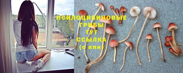кристаллы Абаза