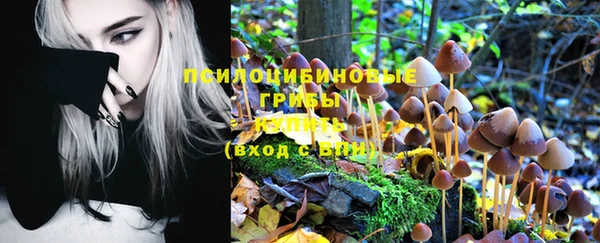 спиды Абдулино
