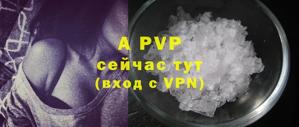 дживик Абинск