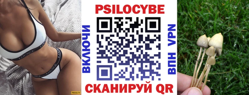 Галлюциногенные грибы прущие грибы Екатеринбург